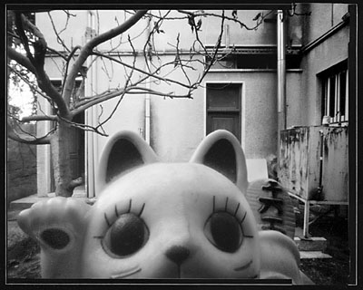 &copy; Thodoris Tzalavras - Pinhole